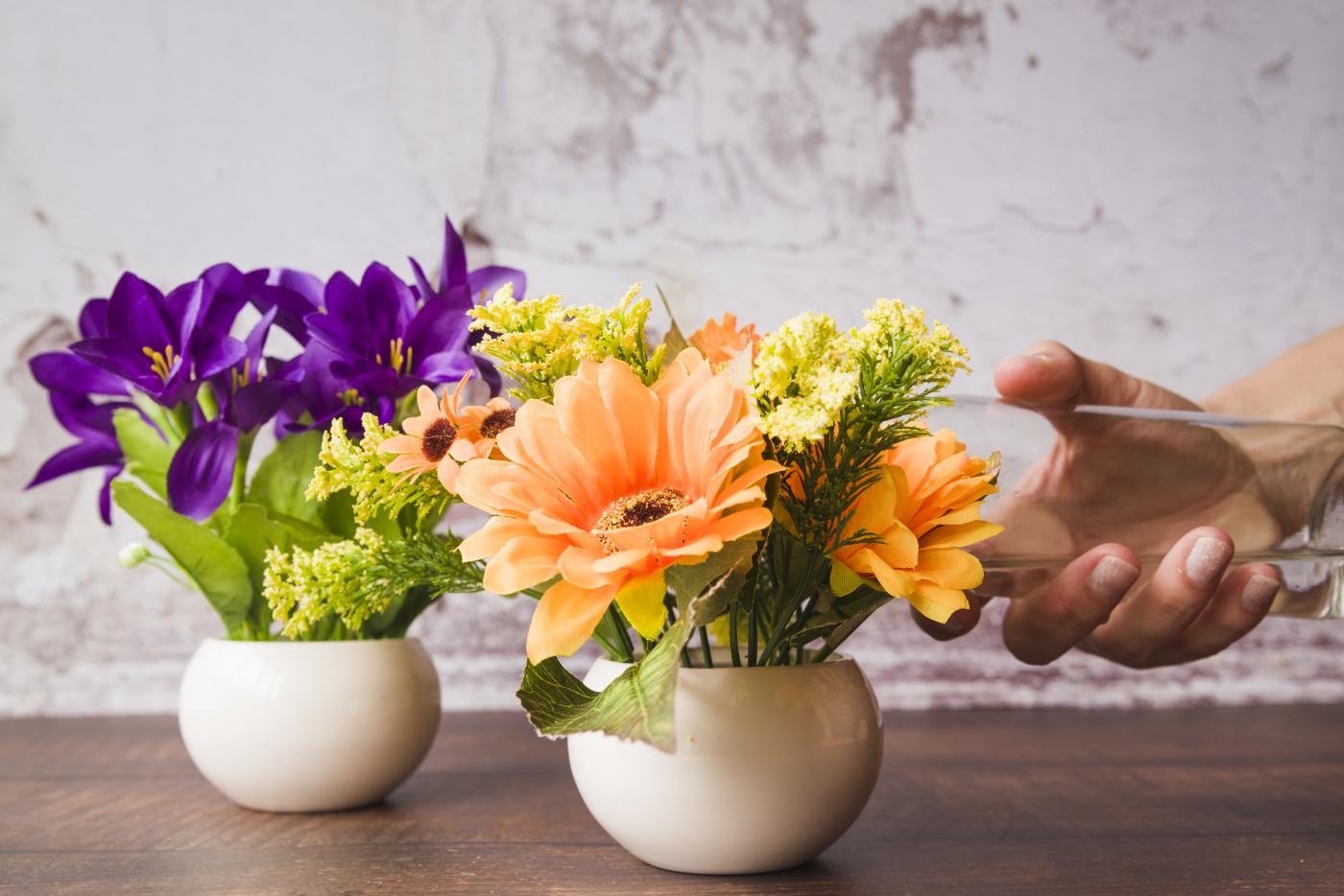 Consigli per la Cura delle Piante e dei Fiori